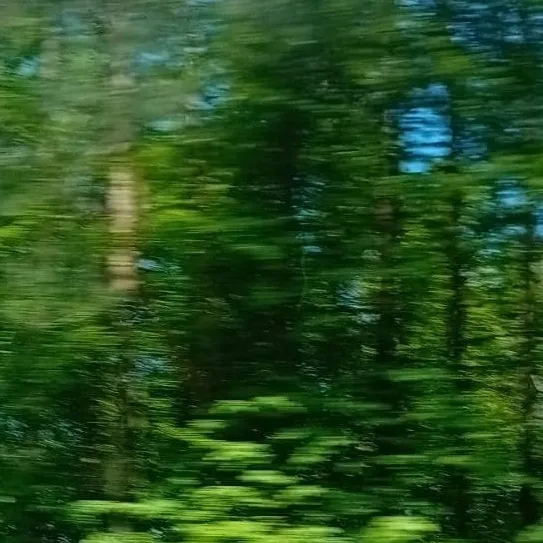 chat with ai character: DABI