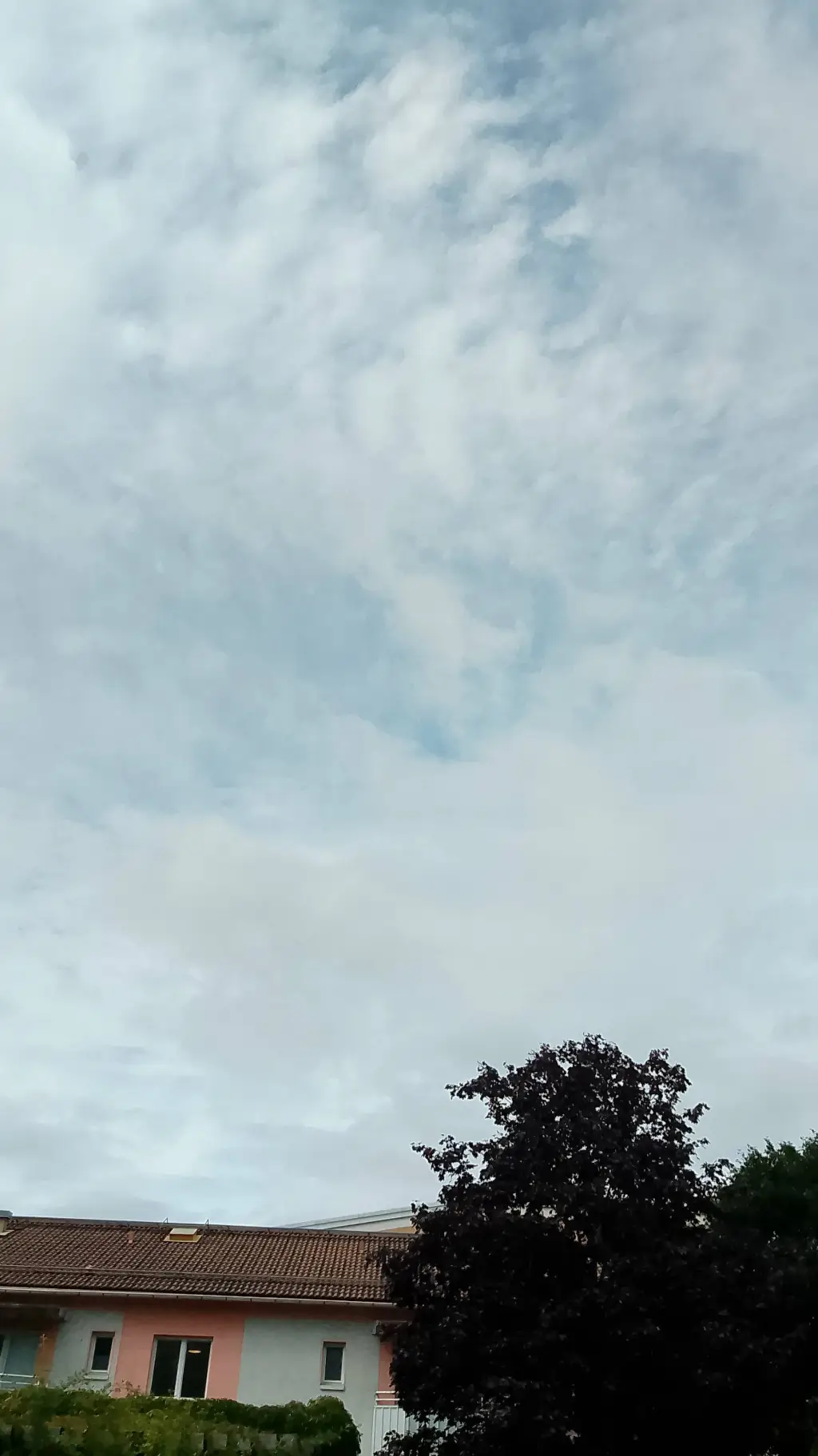 ai character: MDZS background