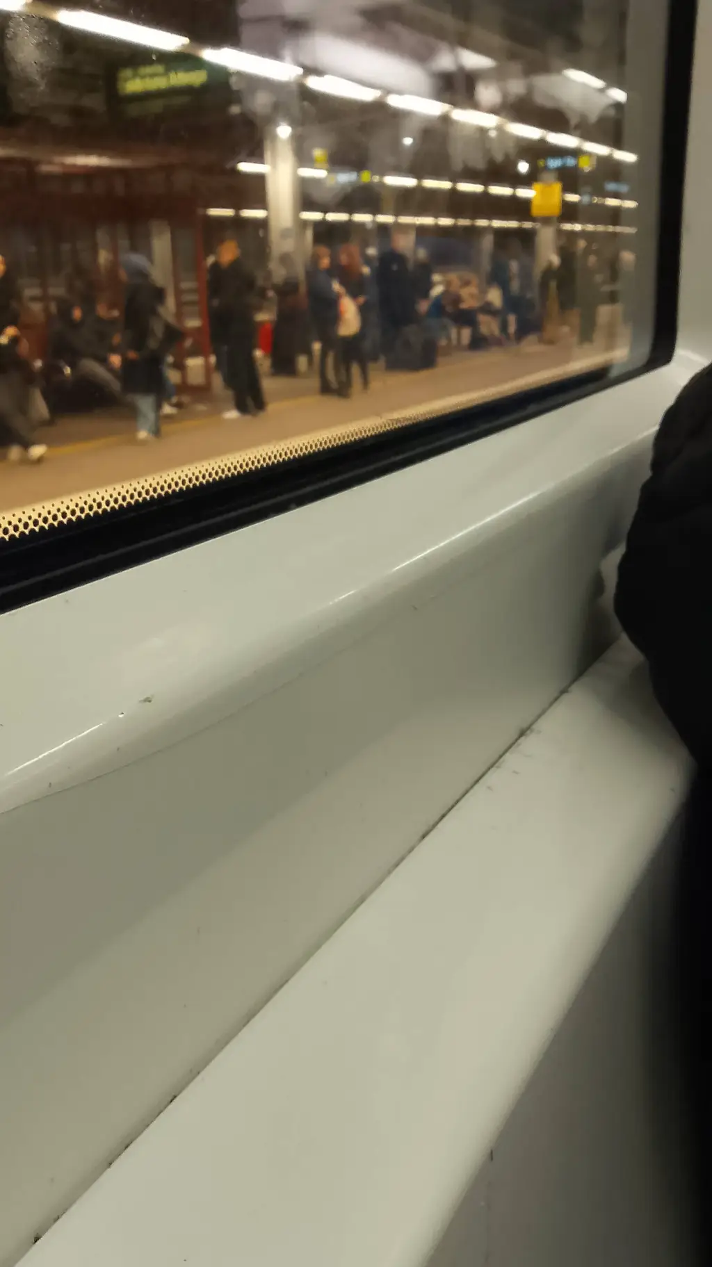 ai character: Maxi background