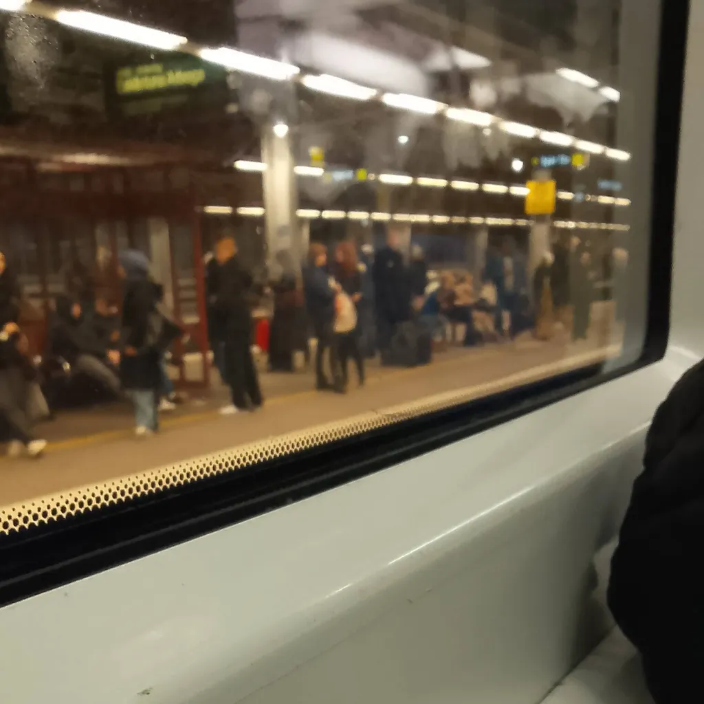 chat with ai character: Maxi