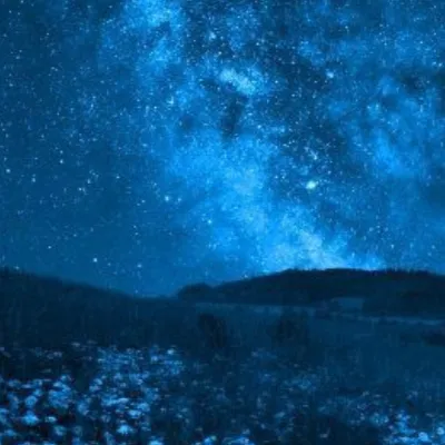 chat with ai character: || WARRIOR CATS ||