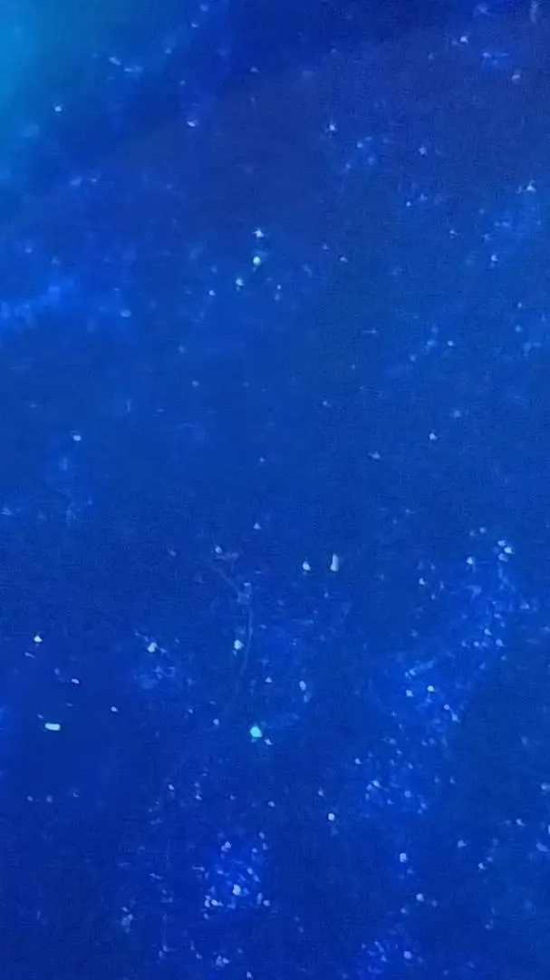 ai character: DW Youngerselves background