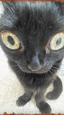 Talkie AI - Chat with LARRY