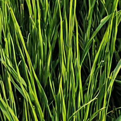 chat with ai character: Was it?