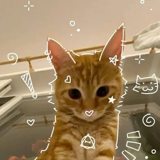 chat with ai character: 😺♤☆mimi☆♤😼
