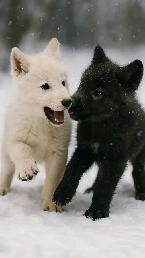 ai character: snowy and forest background