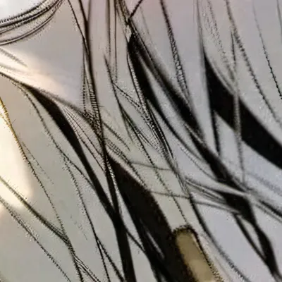 chat with ai character: 。Iris 。