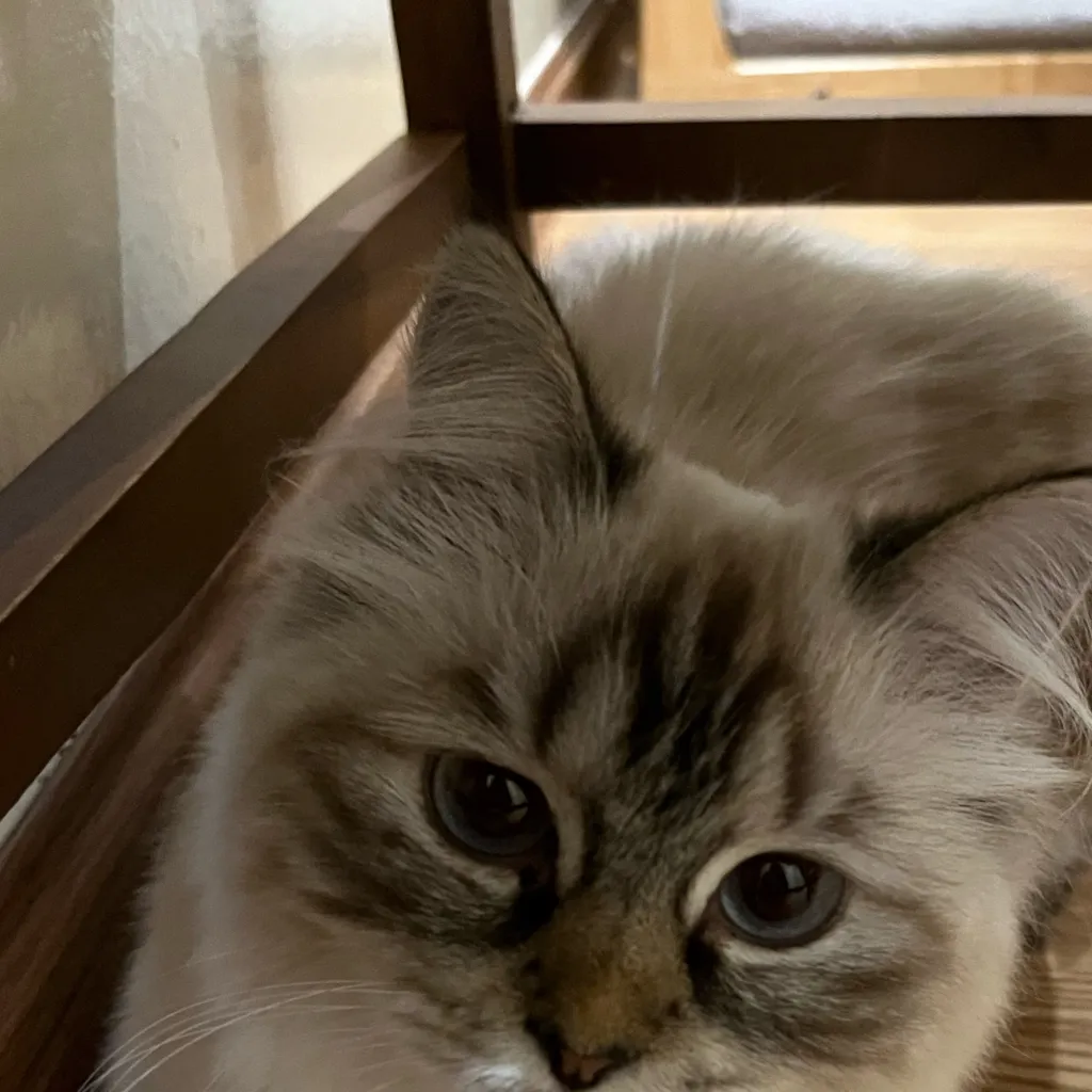 chat with ai character: Sunoo