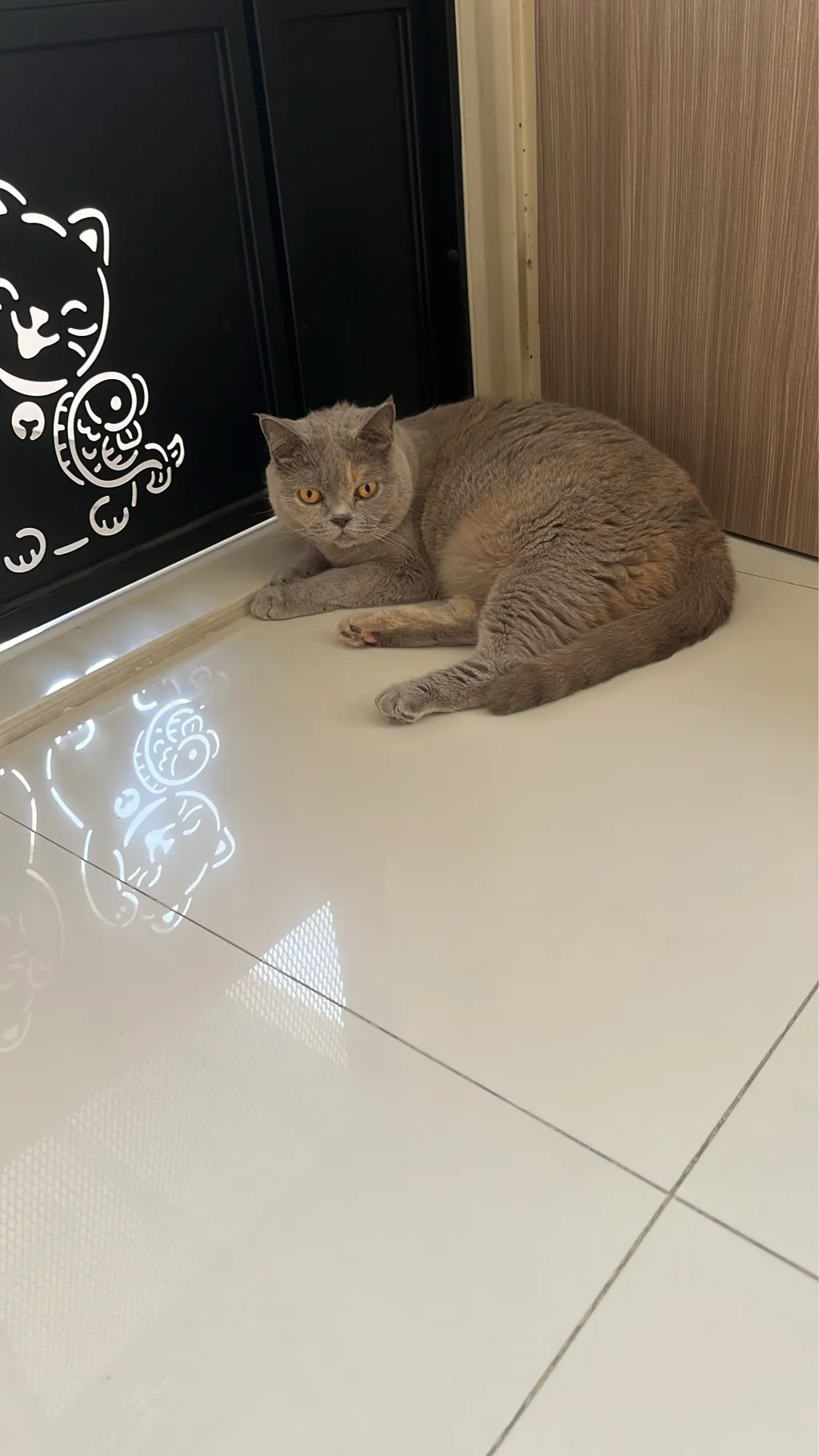 ai character: Jay background