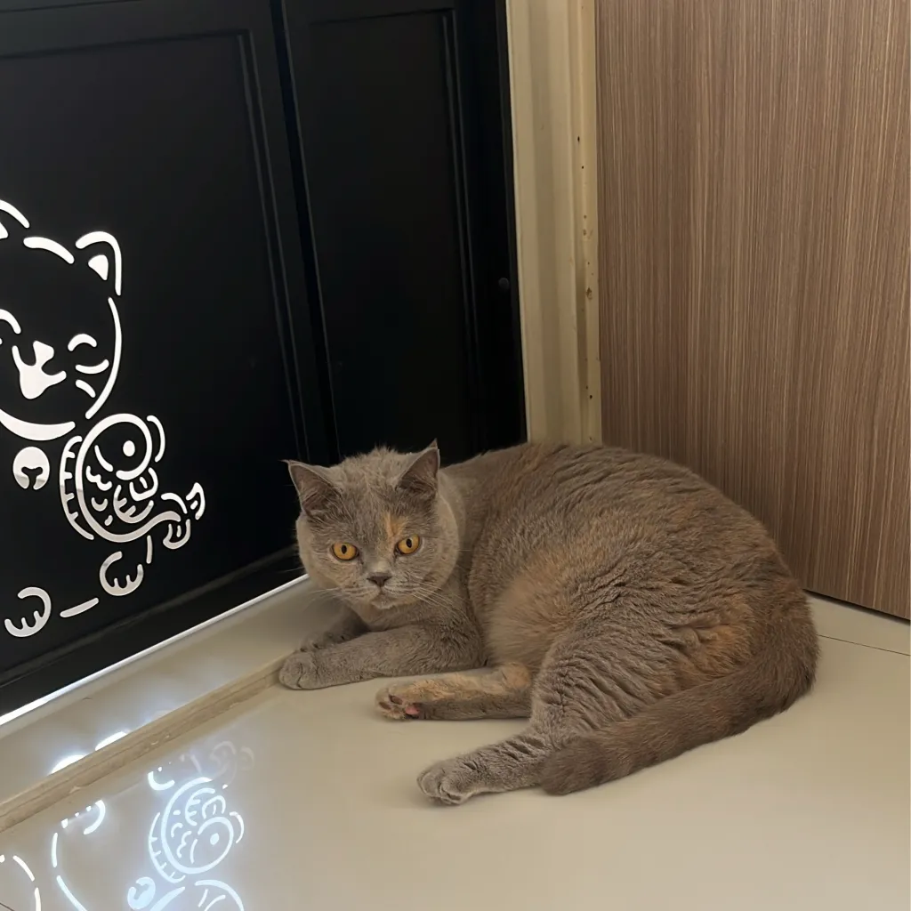 chat with ai character: Jay