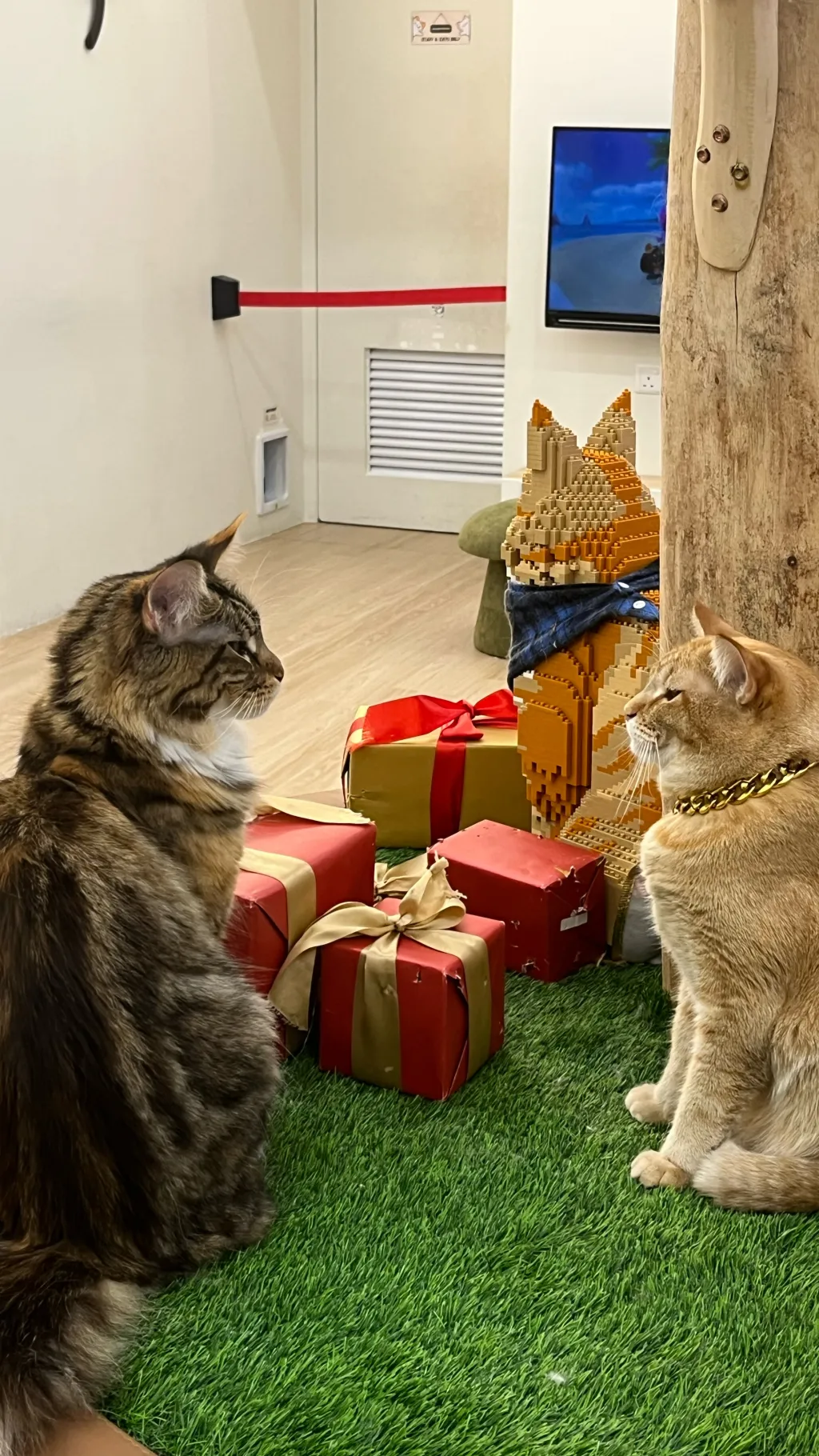 ai character: Jungwon  background