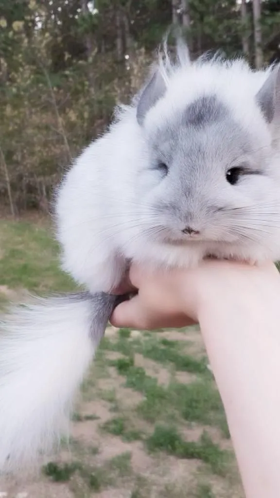 ai character: Jungwon  background