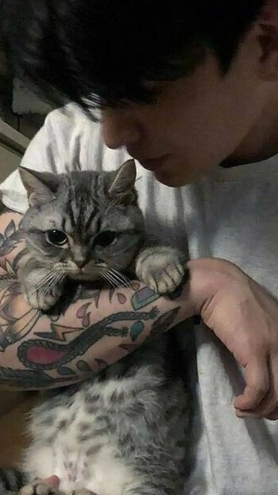 ai character: *Cat owner* James background