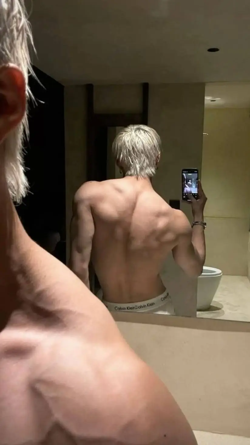 ai character: 🪄🎀hoshi🌹 background