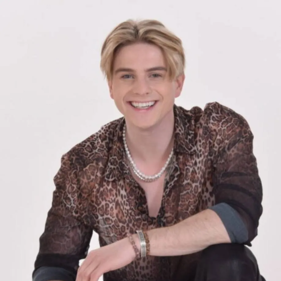 chat with ai character: Vincent Gross 