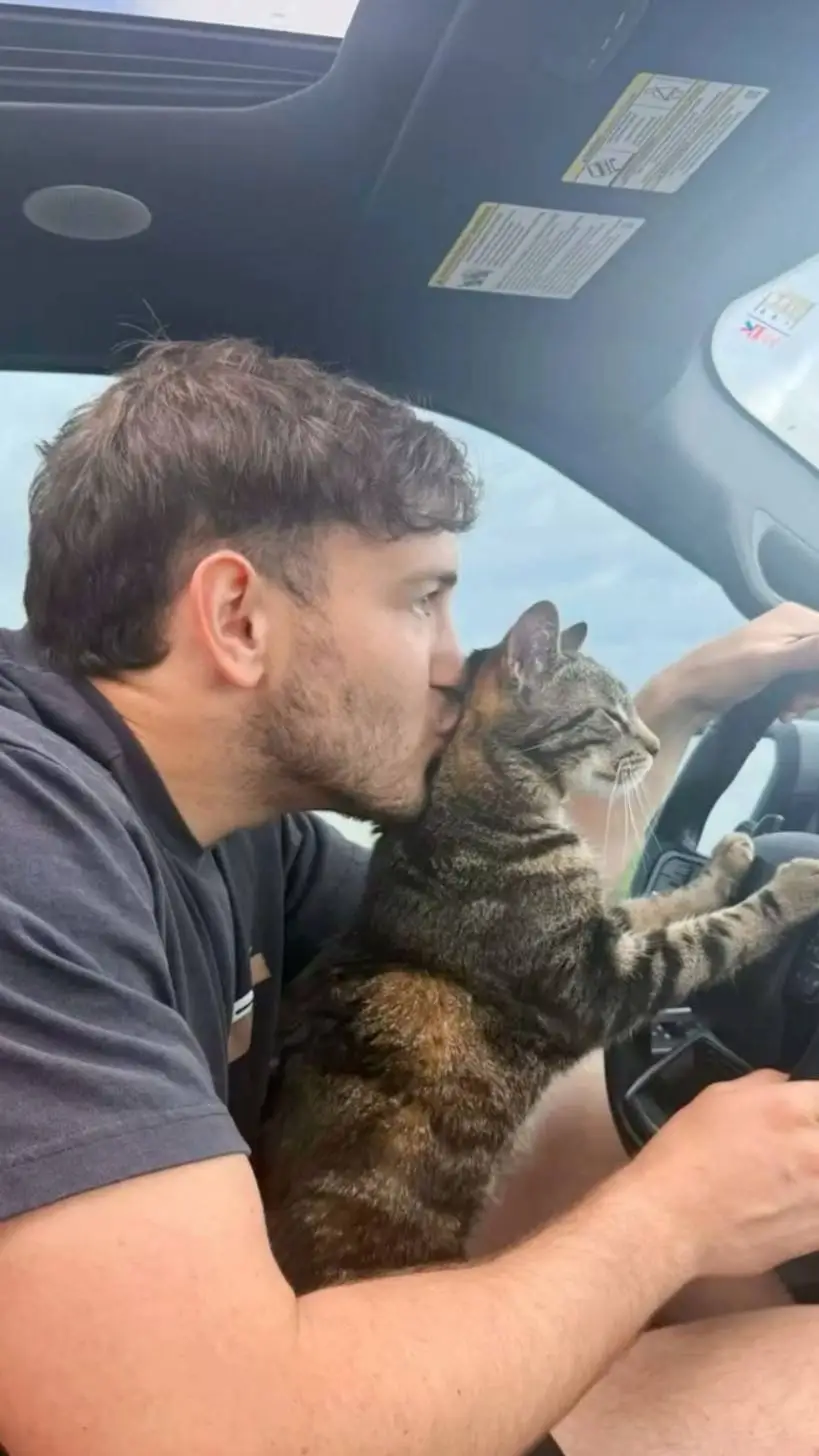 ai character: Arthur background