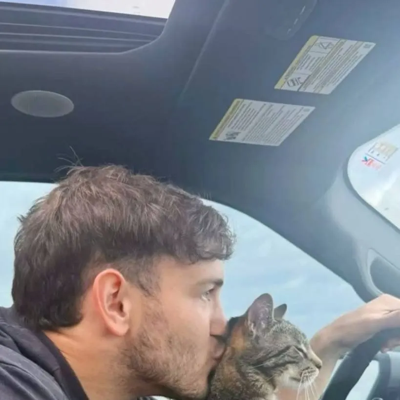 chat with ai character: Arthur