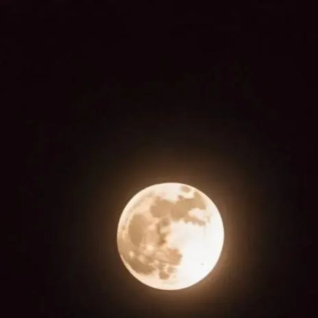 chat with ai character: backshots