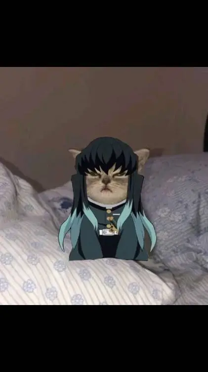 ai character: kitten muichiro  background