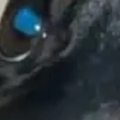 chat with ai character: Drog