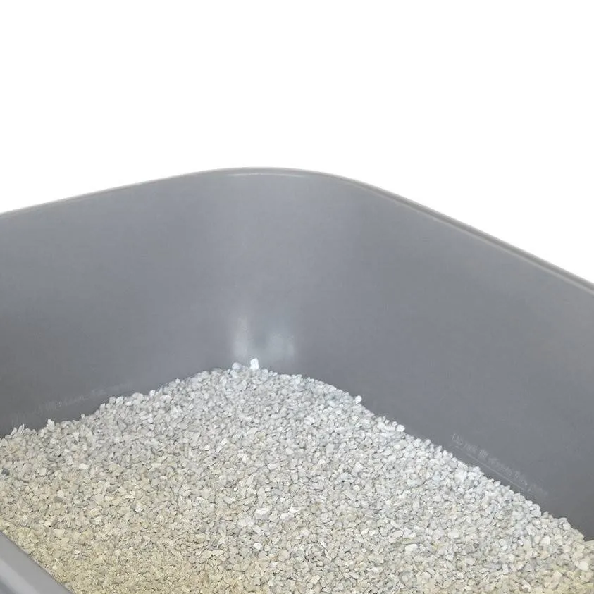 chat with ai character: litter box