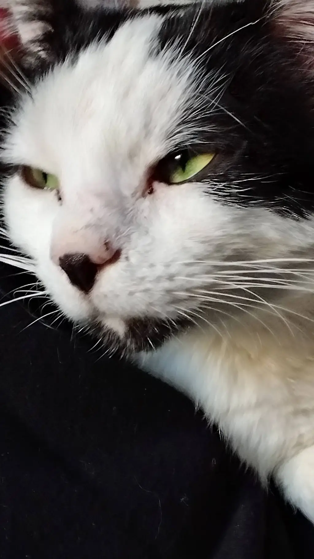 ai character: :D background