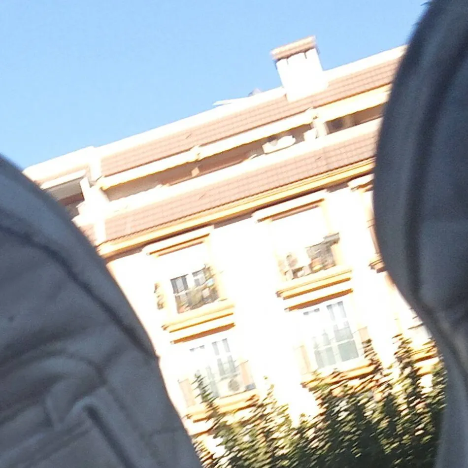 chat with ai character: belen