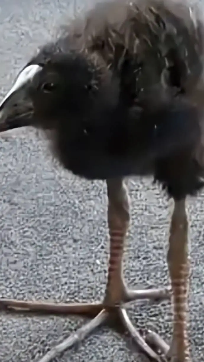 ai character: idea box background