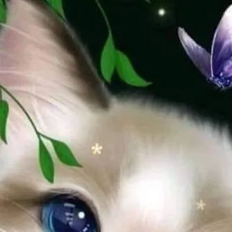 chat with ai character: chellye&cute