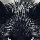 chat with ai character: DARTH VADERS WOLF!