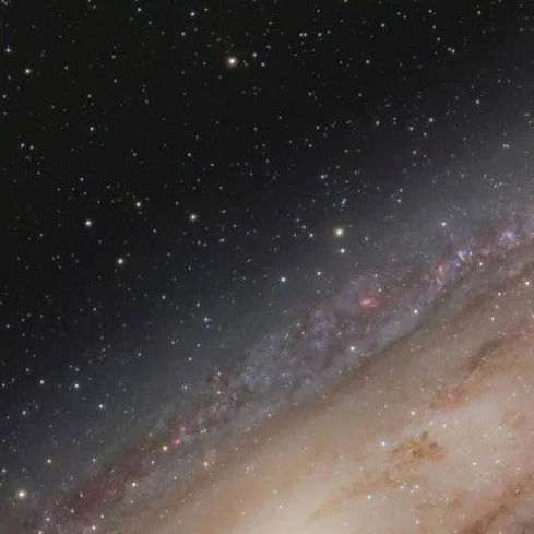 chat with ai character: Among us