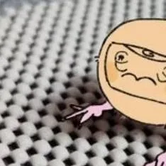 chat with ai character: Chicken shelly