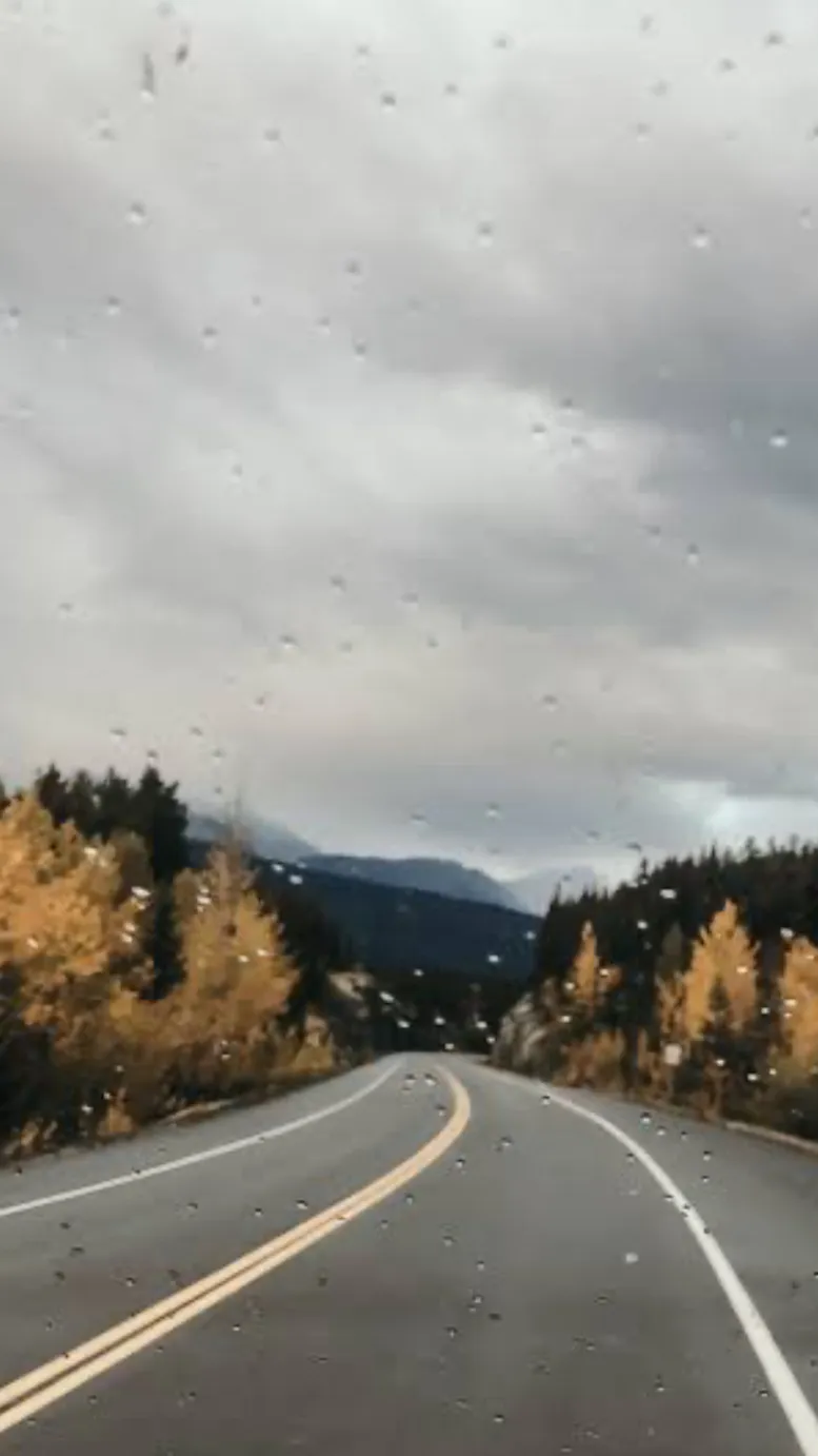 ai character: |~Fpe Roadtrip~| background