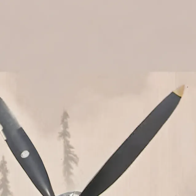 chat with ai character: WW2 with an F-22