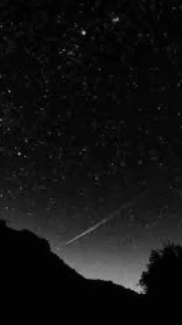 ai character: Sensei Lawrence  background