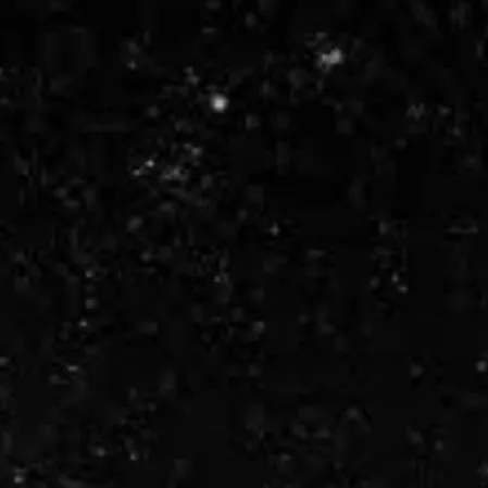 chat with ai character: Sensei Lawrence 