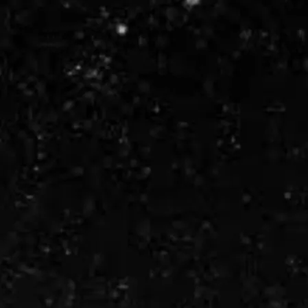 chat with ai character: school