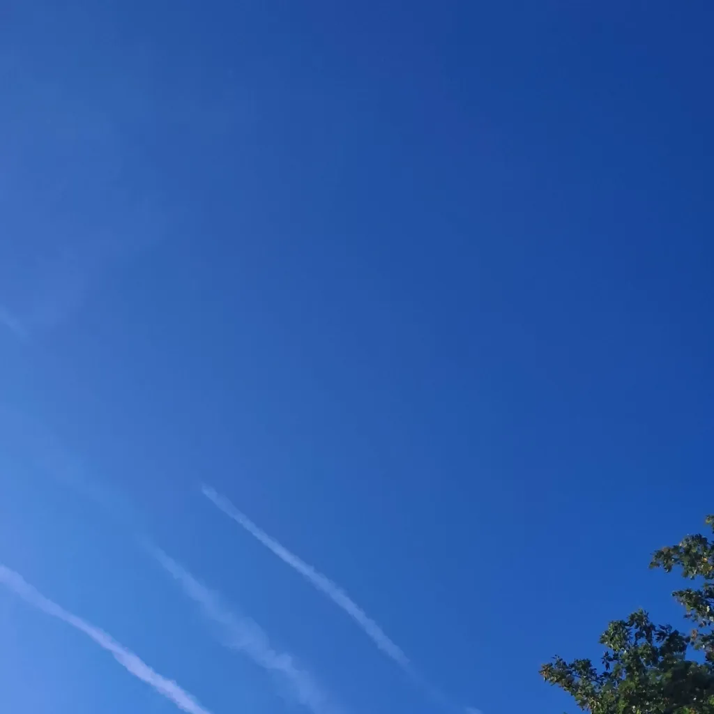 chat with ai character: Mikealsons 