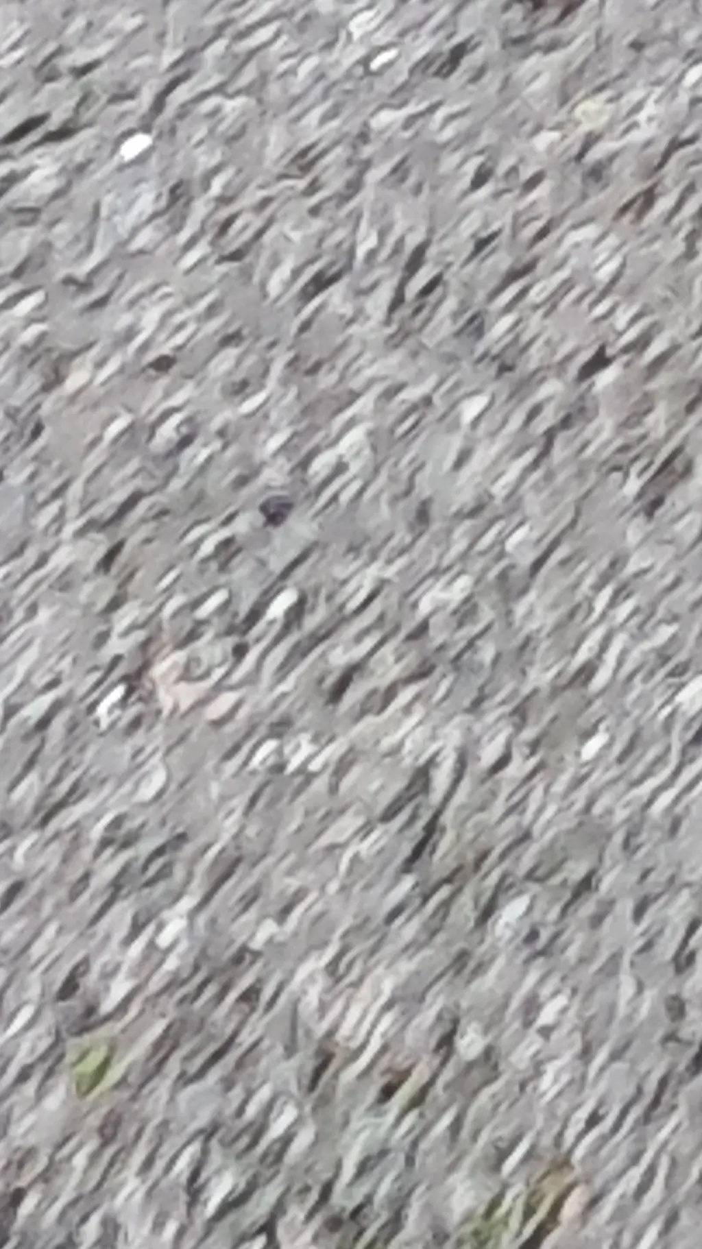 ai character: Stranger Things  background