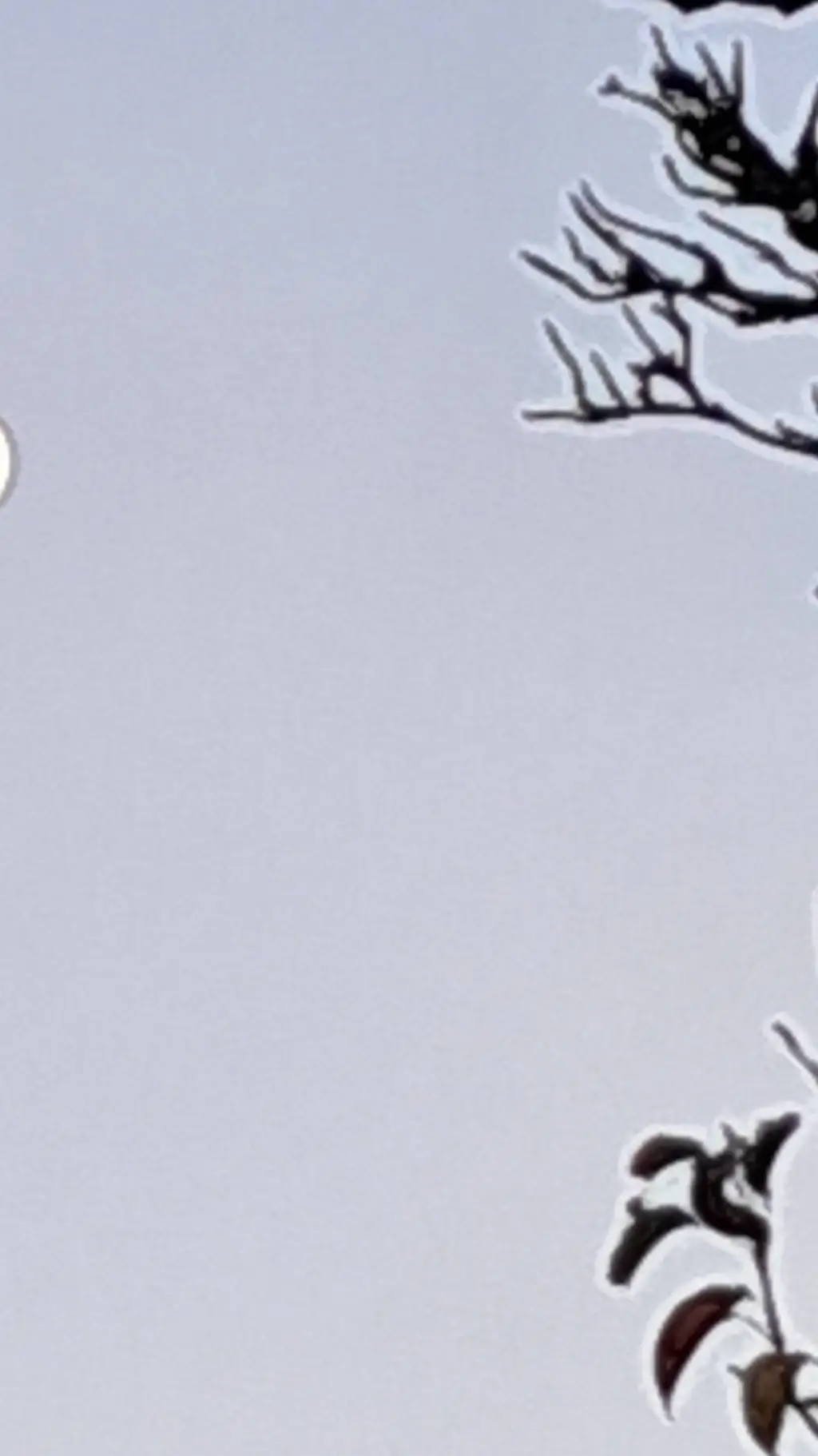 ai character: M+St+O+W background