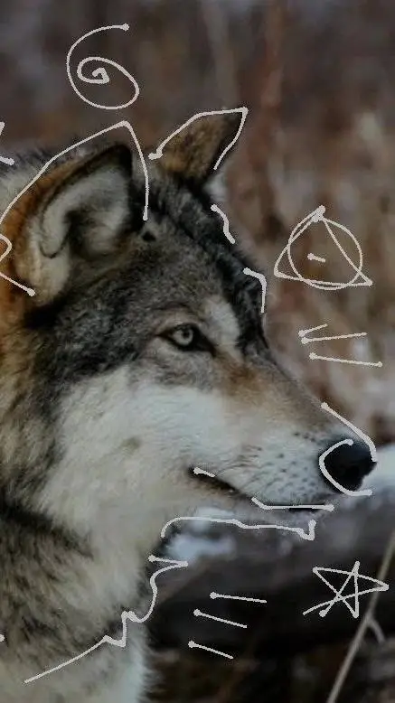 ai character: Max background