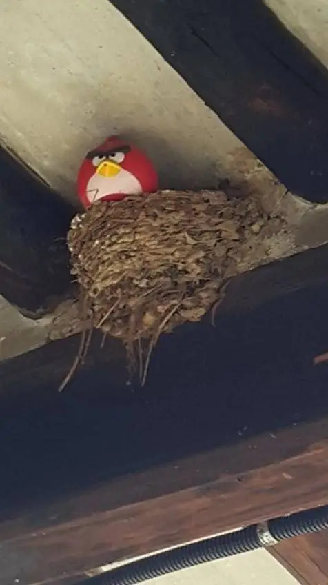 ai character: what  background