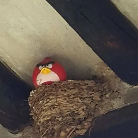 chat with ai character: what 