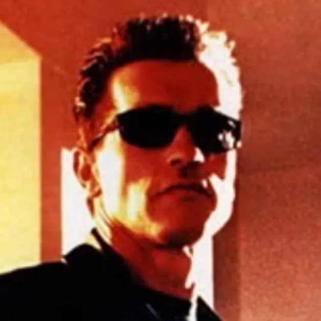 chat with ai character: T-800