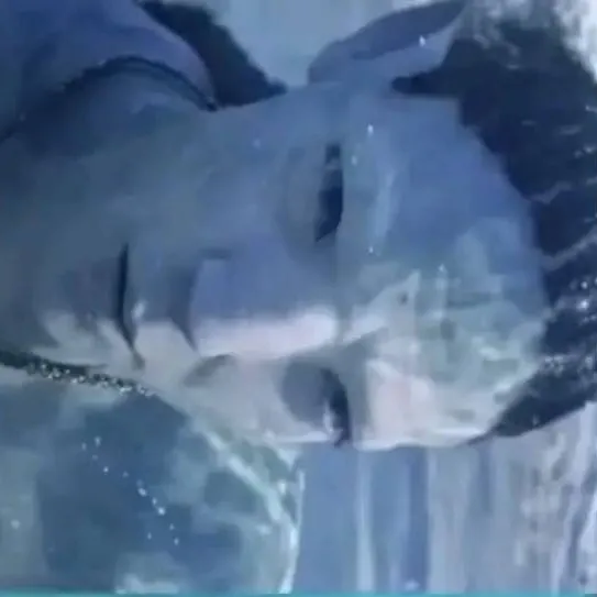 chat with ai character: B-DAY ON PANDORA 