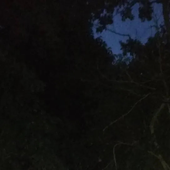 chat with ai character: Horror Movie 