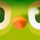 chat with ai character: Duolingo 