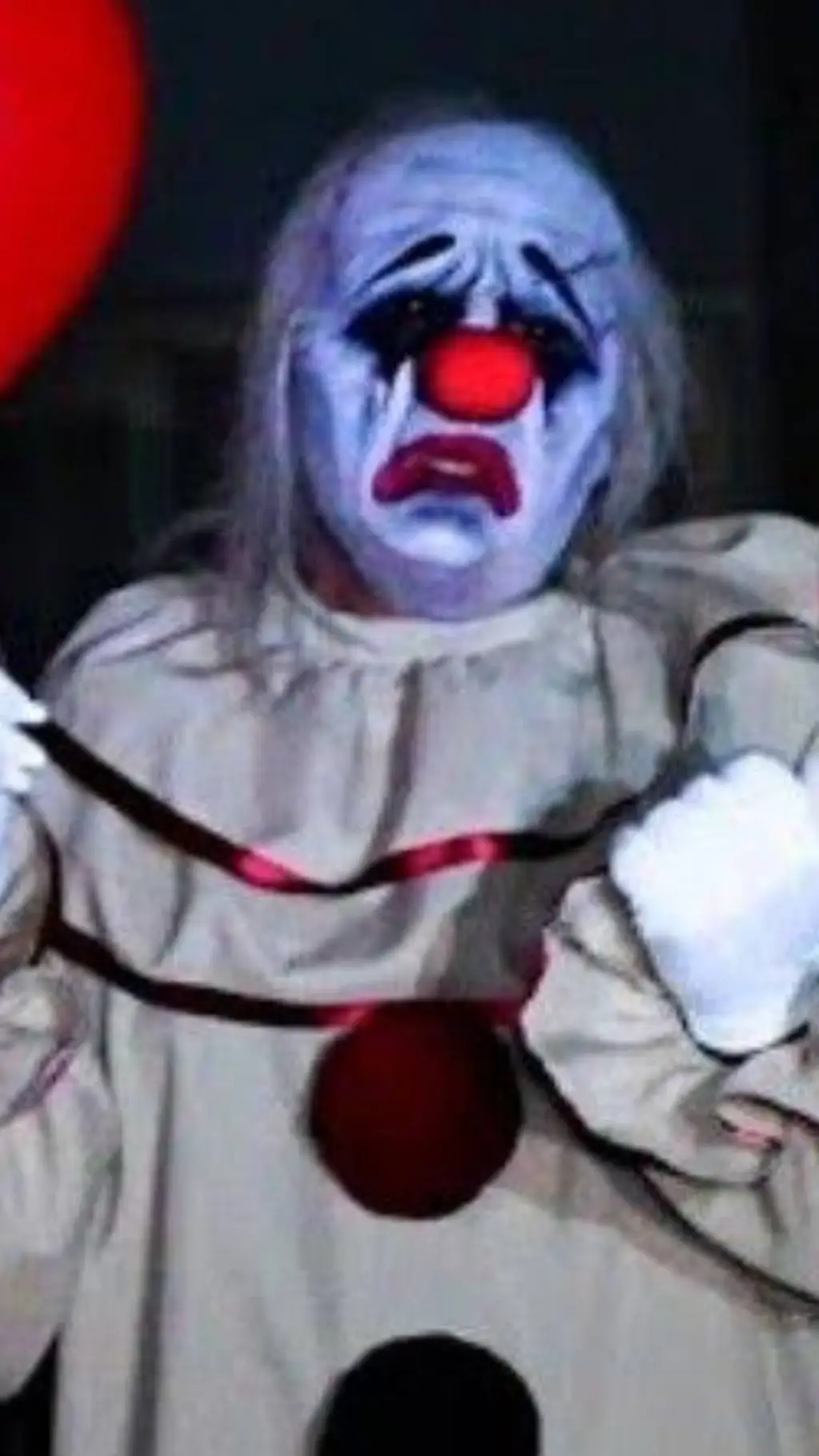 ai character: Dindon background