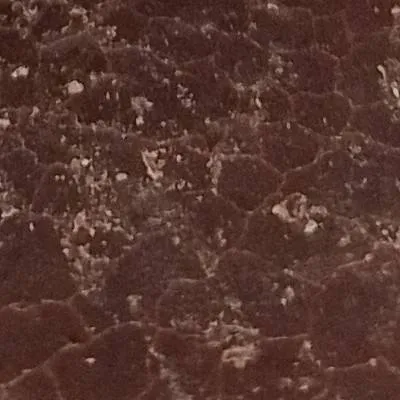 chat with ai character: Solarballs