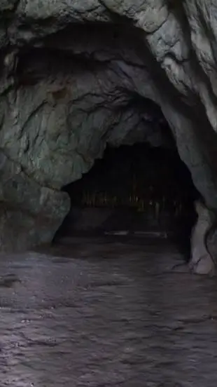 ai character: PJO Cave Adventure background